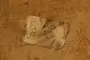Thumbnail image 4