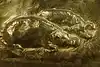 Thumbnail image 8
