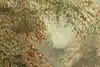 Thumbnail image 10