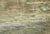 Thumbnail image 11