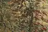 Thumbnail image 12