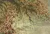 Thumbnail image 9