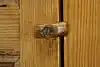 Thumbnail image 14