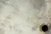 Thumbnail image 19
