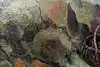 Thumbnail image 12