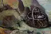 Thumbnail image 9