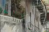 Thumbnail image 11