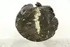 Thumbnail image 17