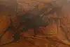 Thumbnail image 23