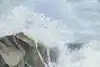 Thumbnail image 7