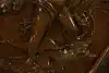 Thumbnail image 26