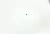 Thumbnail image 15