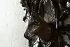 Thumbnail image 5