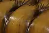 Thumbnail image 17