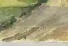 Thumbnail image 8