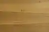 Thumbnail image 7