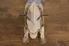 Thumbnail image 17