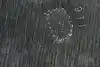 Thumbnail image 19