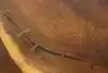 Thumbnail image 16