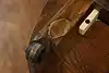 Thumbnail image 24
