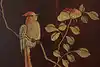 Thumbnail image 24