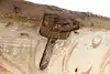 Thumbnail image 28
