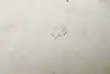Thumbnail image 15