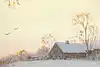 Thumbnail image 7