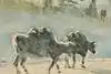 Thumbnail image 9