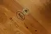 Thumbnail image 21