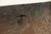 Thumbnail image 29