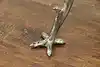 Thumbnail image 4