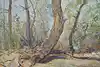 Thumbnail image 9