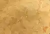 Thumbnail image 19