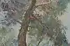 Thumbnail image 10