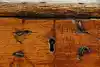 Thumbnail image 9