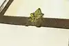 Thumbnail image 22