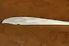 Thumbnail image 5
