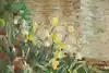 Thumbnail image 15