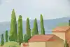 Thumbnail image 9