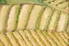 Thumbnail image 5