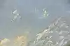 Thumbnail image 5