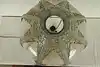 Thumbnail image 16