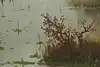 Thumbnail image 14