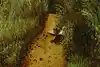 Thumbnail image 11