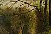 Thumbnail image 12
