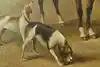 Thumbnail image 10