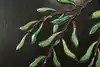 Thumbnail image 16