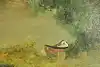Thumbnail image 9
