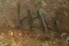 Thumbnail image 11